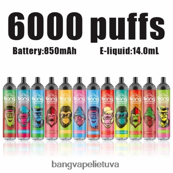 Bang Vape King 6000 išpūtimų 5% nic įkraunamas c tipo - HF460N8 Vape Gang Disposables vienkartiniai