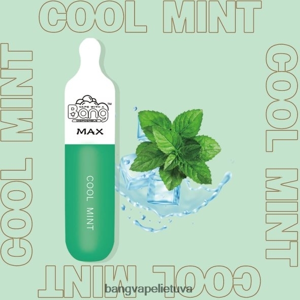 Bang Vape Max 5000 pūtimų baras - HF460N10 Best Bang Vape Flavor vienkartiniai