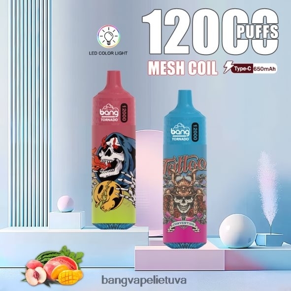 Bang Vape Tornado 12000 įkvėpimų su LED ir tinklelio ritė - HF460N4 Bang Disposable Vape Flavors vienkartiniai