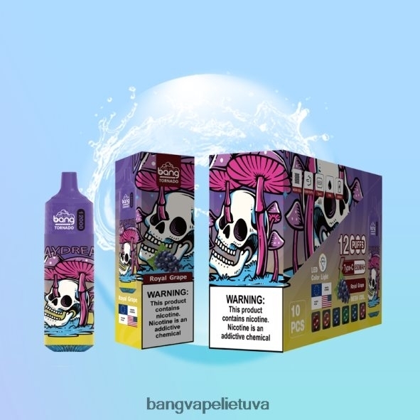 Bang Vape Tornado 12000 įkvėpimų su LED ir tinklelio ritė - HF460N4 Bang Disposable Vape Flavors vienkartiniai