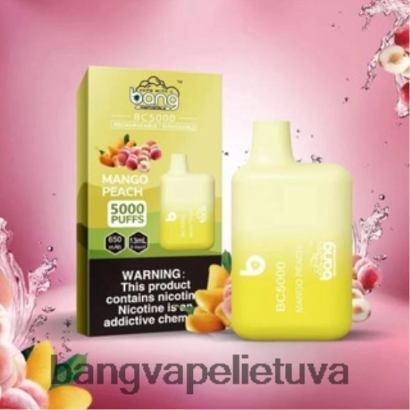 Bang Vape Box BC5000 5% nic 5000 pūtimų c tipo įkraunamas rašiklis - HF460N9 Bang Box Vape Flavors vienkartiniai