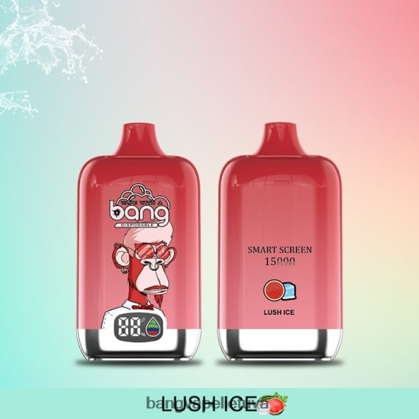 Bang Vape Digital Smart Screen 15000 išpurškimų 25ml - HF460N11 Bang Vape Lietuva vienkartiniai