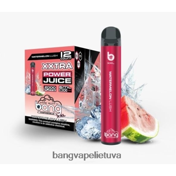 Bang Vape XXL 2000 išpūtimų - HF460N26 Bang Vape Disposable arbūzas sodrus