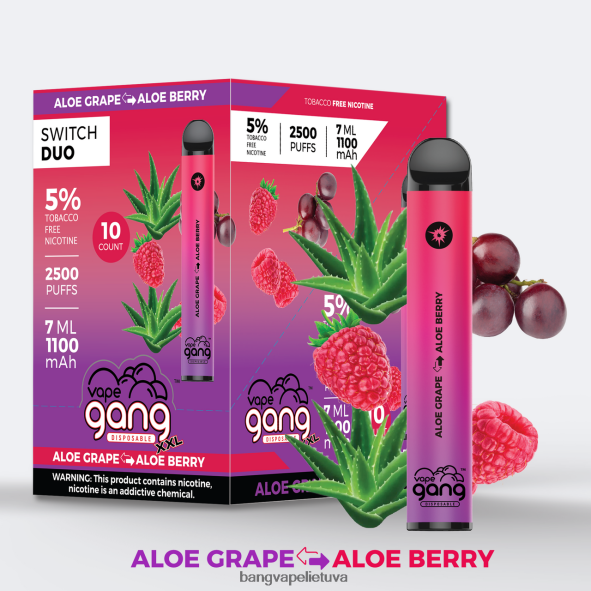 Vape Gang Switch Duo 2 skoniai (10 vnt.) - HF460N39 Bang Box Vape Flavors alavijas vynuogė – alijošiaus uoga