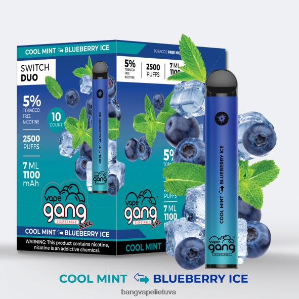 Vape Gang Switch Duo 2 skoniai (10 vnt.) - HF460N43 Vape Gang Lietuva vėsūs mėtų – mėlynių ledukai