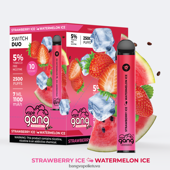 Vape Gang Switch Duo 2 skoniai (10 vnt.) - HF460N47 Bang Vape Flavors braškių ledas – arbūzų ledas