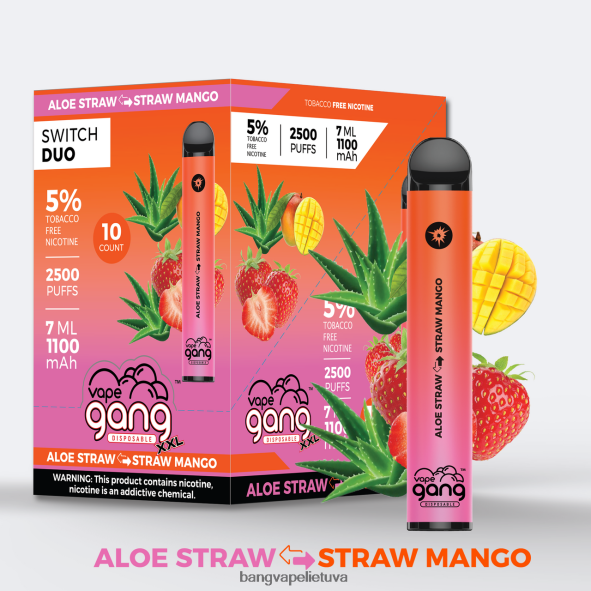 Vape Gang Switch Duo 2 skoniai (10 vnt.) - HF460N48 Vape Gang Disposables labai uoginis - guminukas