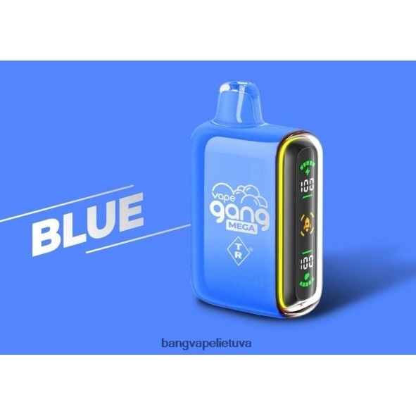 Vape Gang MEGA 20 000 išpūtimų vienkartinių vape (5 vnt.) - HF460N52 Bang Vape Lietuva mėlyna
