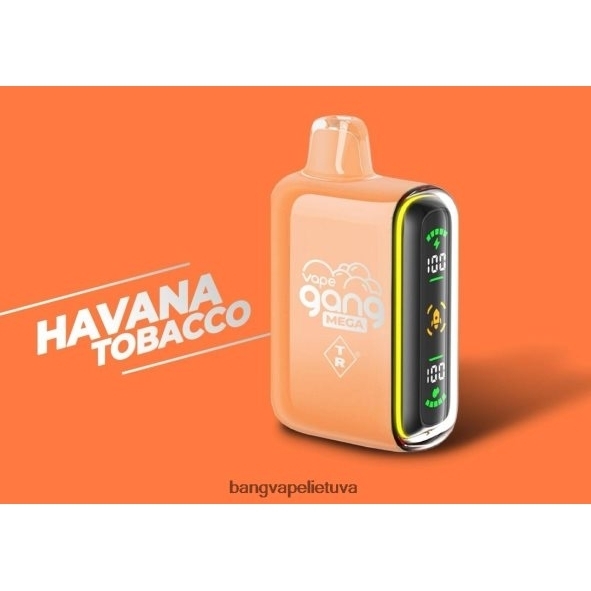 Vape Gang MEGA 20 000 išpūtimų vienkartinių vape (5 vnt.) - HF460N55 Vape Gang Lietuva havanos tabakas