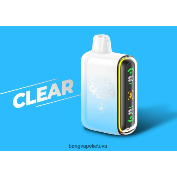 Vape Gang MEGA 20 000 išpūtimų vienkartinių vape (5 vnt.) - HF460N56 Bang Disposable Vape Flavors aišku