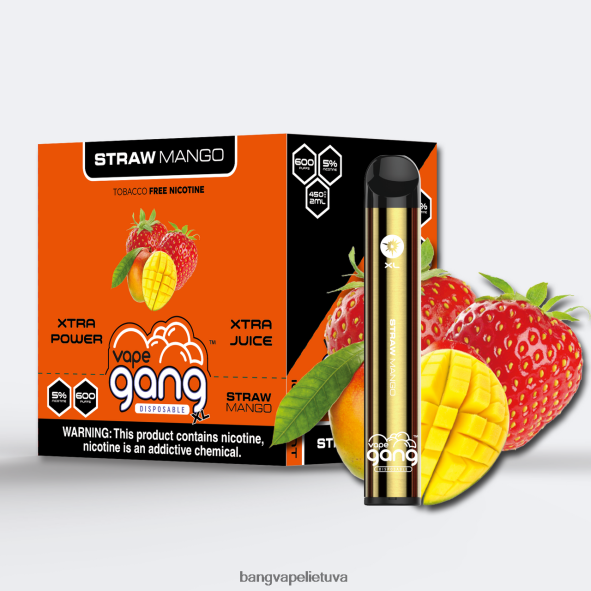 Vape Gang XL vienkartiniai garinukai 600 išpūtimų (10 vnt.) - HF460N66 Bang Disposable Vape Flavors šiaudų mango