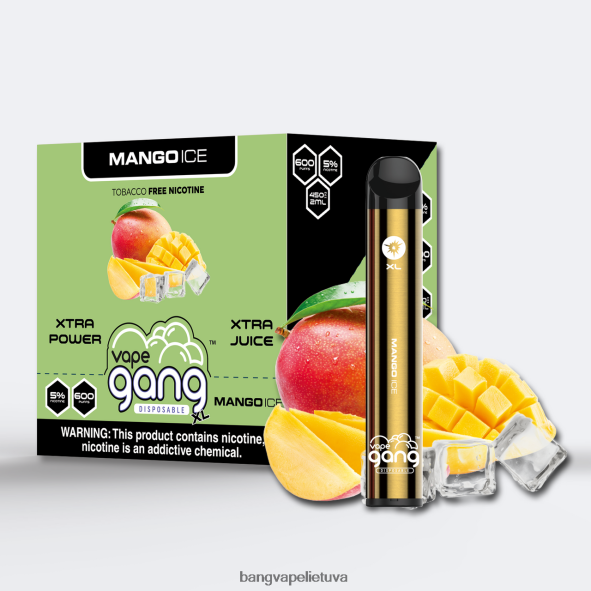 Vape Gang XL vienkartiniai garinukai 600 išpūtimų (10 vnt.) - HF460N68 Bang Vape Disposable mangų ledas