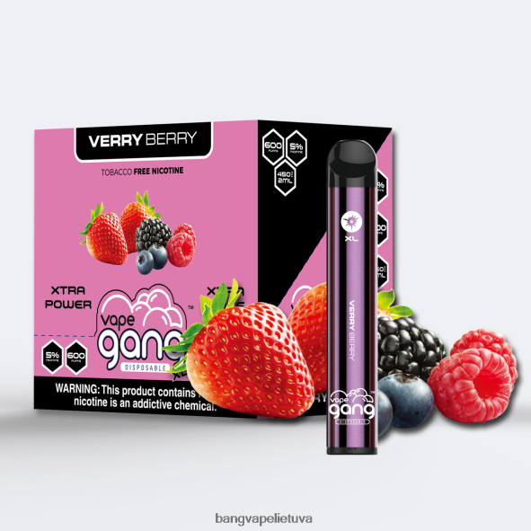 Vape Gang XL vienkartiniai garinukai 600 išpūtimų (10 vnt.) - HF460N69 Bang Vape Flavors labai uoga
