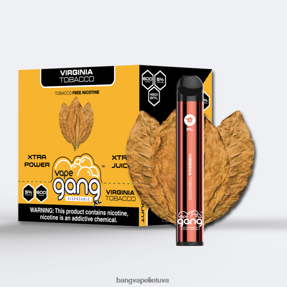 Vape Gang XL vienkartiniai garinukai 600 išpūtimų (10 vnt.) - HF460N70 Vape Gang Disposables virdžinijos tabakas