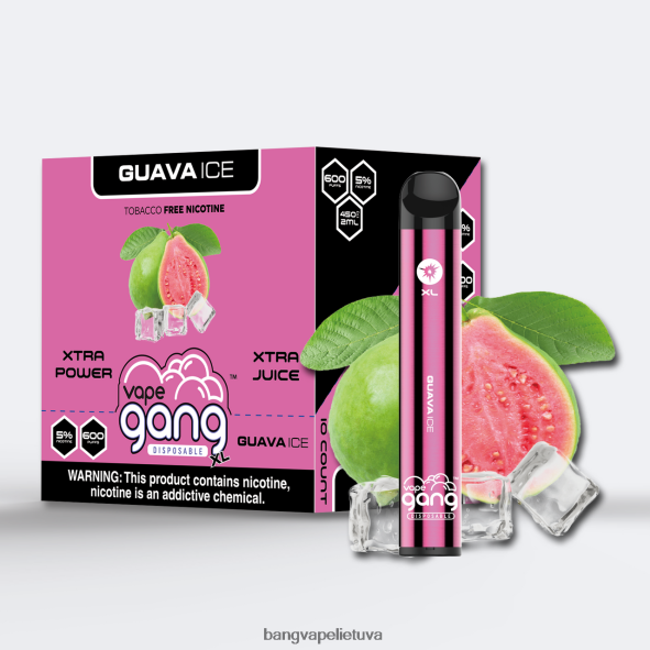 Vape Gang XL vienkartiniai garinukai 600 išpūtimų (10 vnt.) - HF460N72 Best Bang Vape Flavor gvajavos ledas