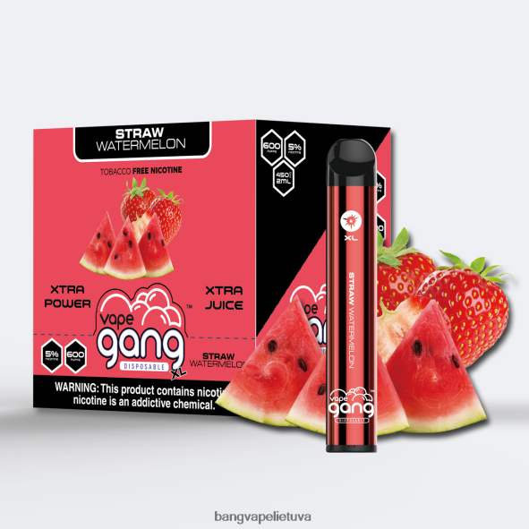 Vape Gang XL vienkartiniai garinukai 600 išpūtimų (10 vnt.) - HF460N74 Bang Vape Vilnius šiaudų arbūzas